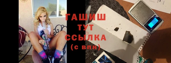 прущие грибы Сосновый Бор