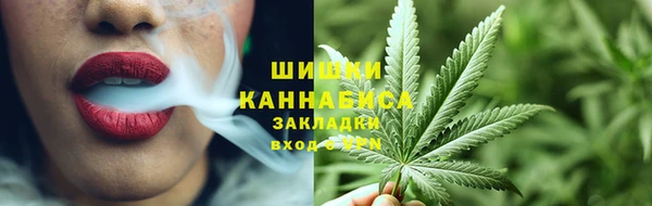 прущие грибы Сосновый Бор