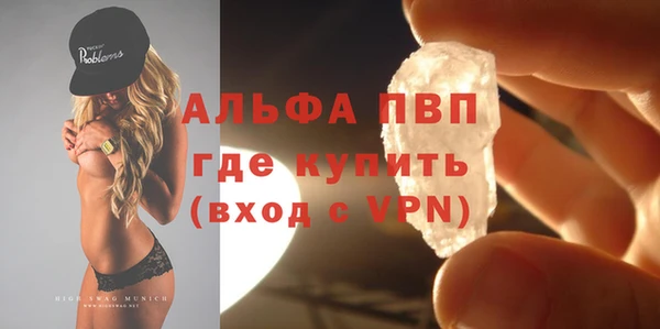 прущие грибы Сосновый Бор