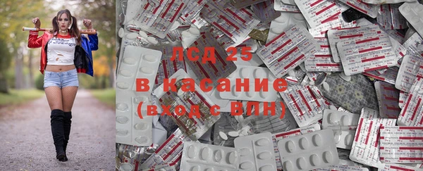 сатива Сосновоборск