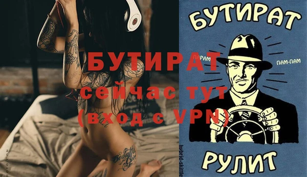 прущие грибы Сосновый Бор