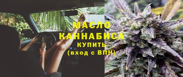 сатива Сосновоборск