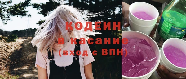 прущие грибы Сосновый Бор