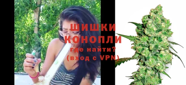 прущие грибы Сосновый Бор