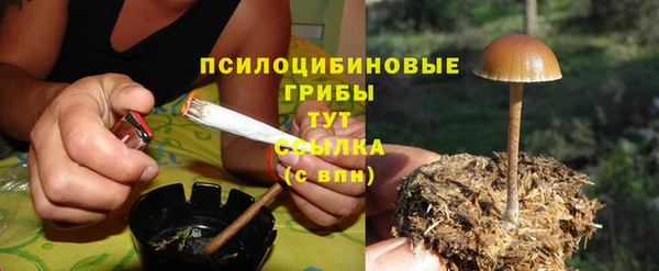 сатива Сосновоборск