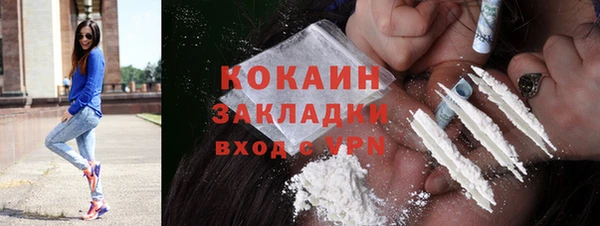 сатива Сосновоборск