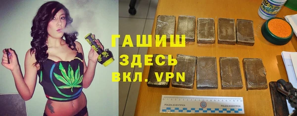 прущие грибы Сосновый Бор