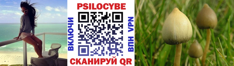 Галлюциногенные грибы MAGIC MUSHROOMS  Купить  Собинка 